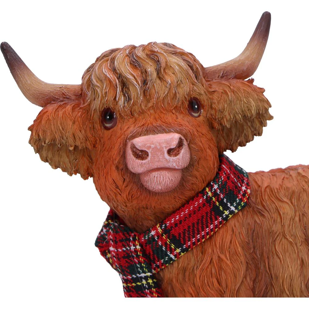 Highland Snug - Image 5